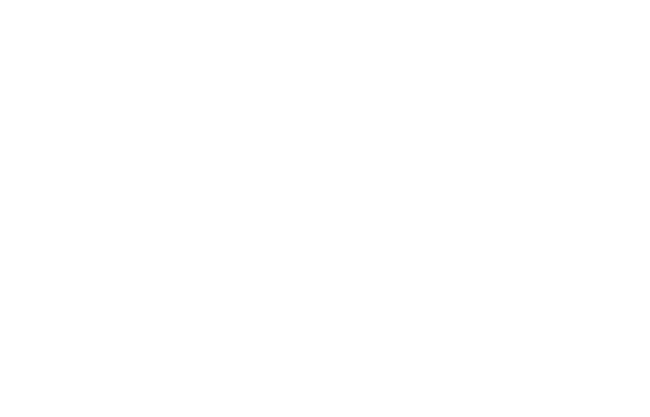 Efe Anidi